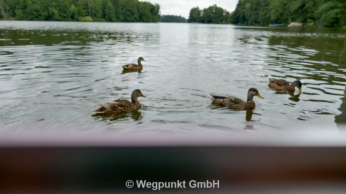 Der Blick aus der Heckkabine